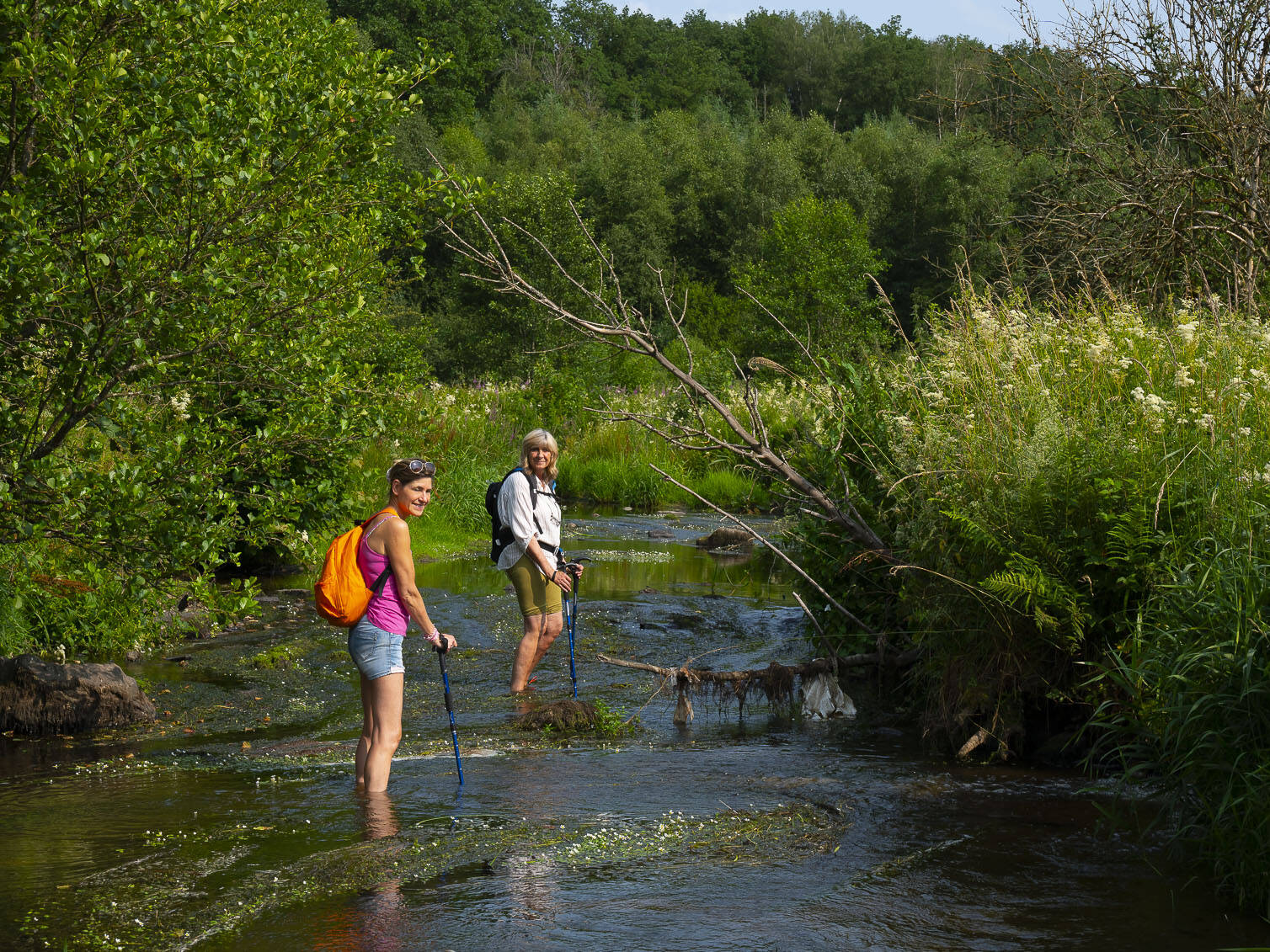 Marcheuses dans la Houille