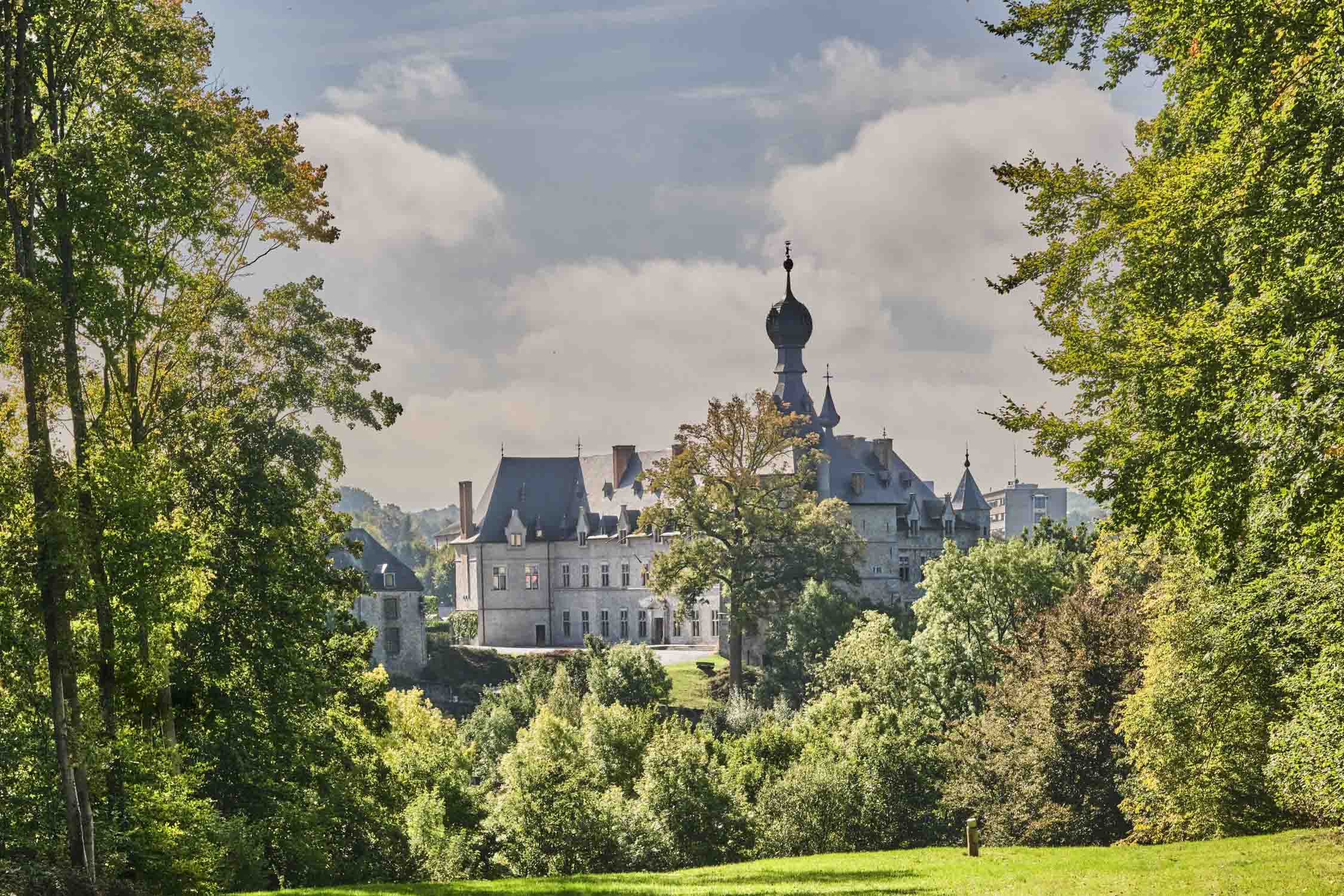 Ch&acirc;teau de CHIMAY, vue de loin
